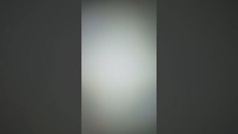 True Freeman Beat His Dogs