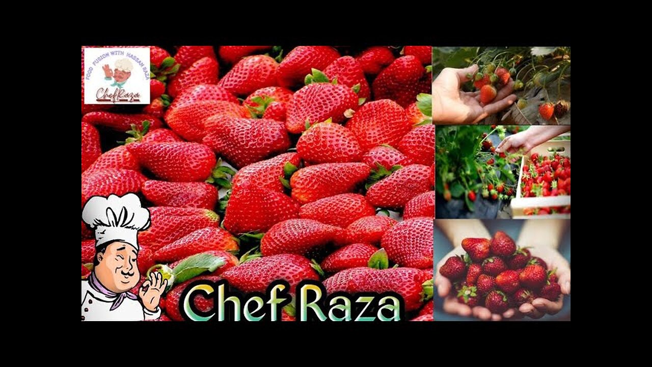 Enjoy beautiful nature with rural lifeless #shortvideo #farmersprotest #food