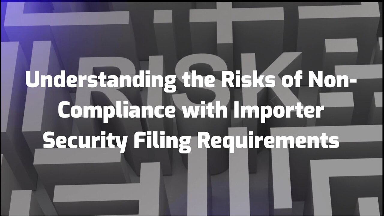 Risks in Importer Security Filing