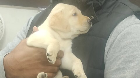 Suggest Me The Name Of My New Family Member || _ _ _ _ _ _