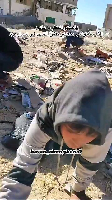 Hungry Palestinian children pick up flour mixed with sand from the streets of northern Gaza ⏬Read dp