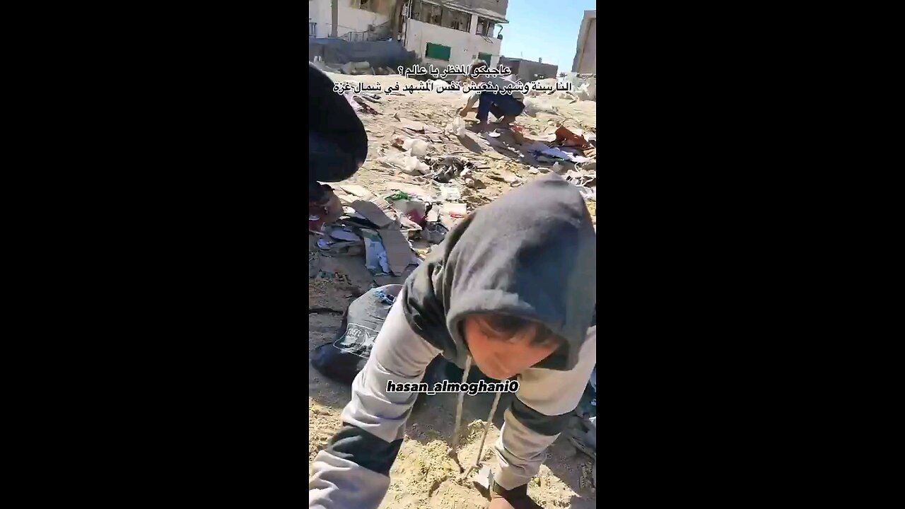 Hungry Palestinian children pick up flour mixed with sand from the streets of northern Gaza ⏬Read dp