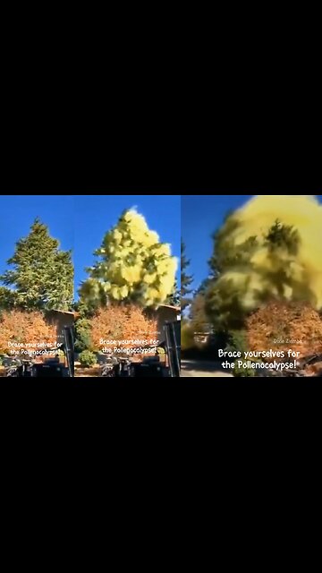 Brace yourselves for the pollenocalypse! 🌳💨