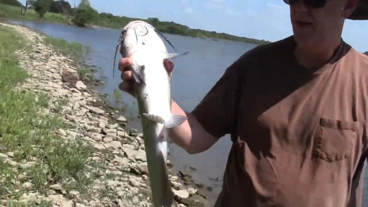 Fishing For Channel Catfish In A Small Lake In Kansas