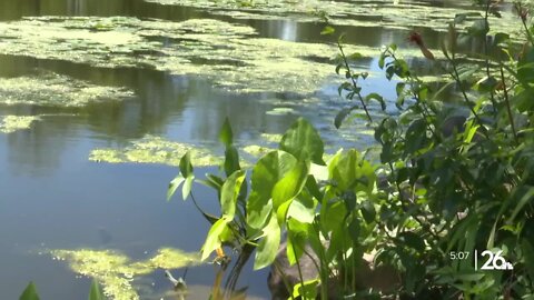 Fond du Lac working to control phosphorus levels in wastewater