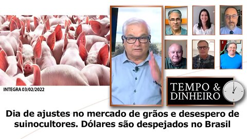 Dia de ajustes no mercado de grãos e desespero de suinocultores. Dólares são despejados no Brasil