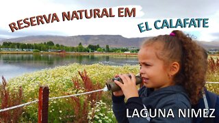 El Calafate a Cidade dos Glaciares | Passeio na Laguna Nimez