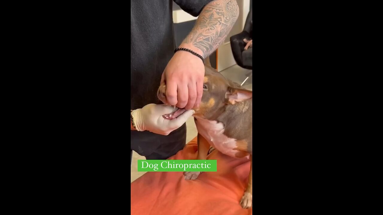 SUBSCRIBE FOR MORE #chiropractor #chiropractic #massage #chiroguy #fitness #fitnessmotivation