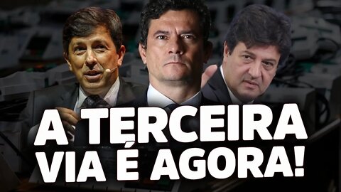 Terceira via nas pesquisas