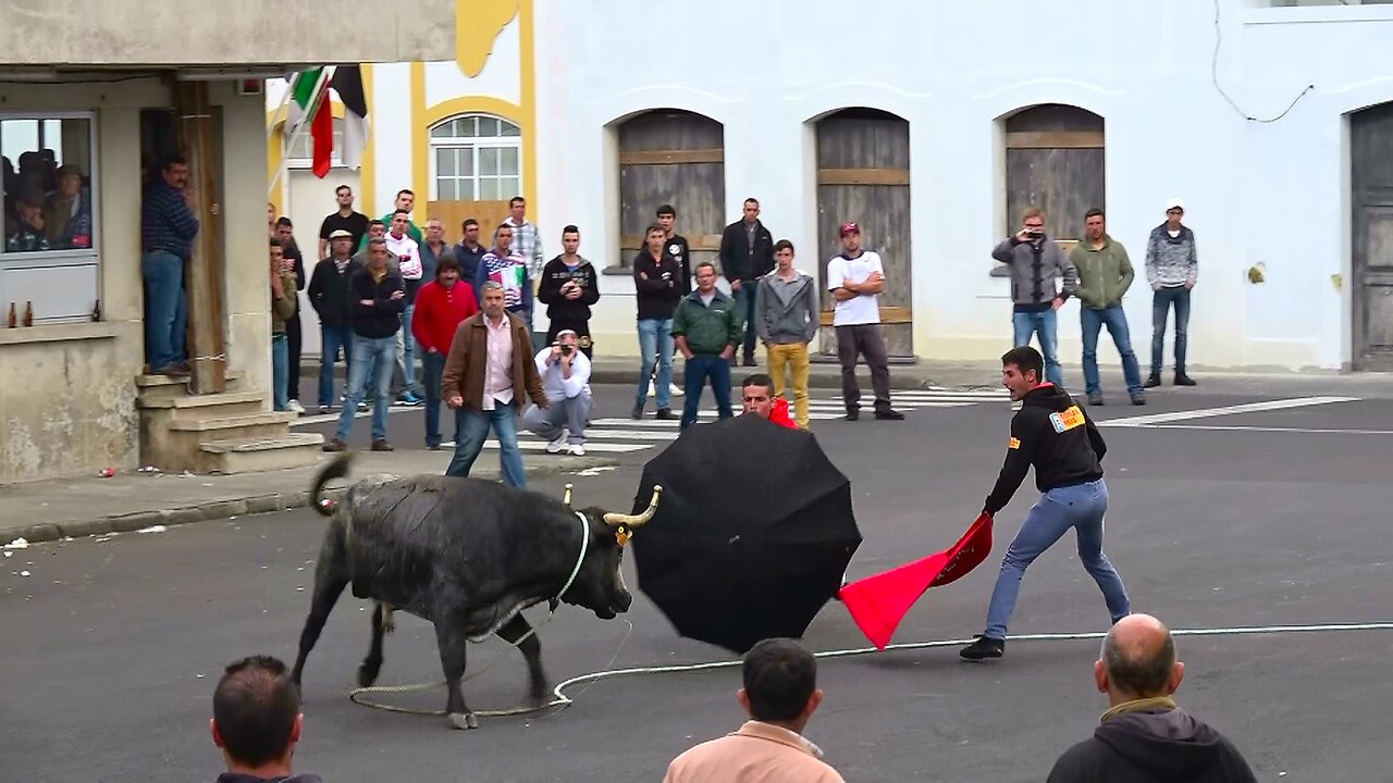 Best Of Pico da Urze 2016/2017 - Ganadaria HF - Ilha Terceira - Açores