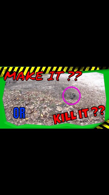 DESTROYING the XMAXX ... OR NOT ?????