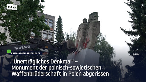 "Unerträgliches Denkmal" –Monument der polnisch-sowjetischen Waffenbrüderschaft in Polen abgerissen