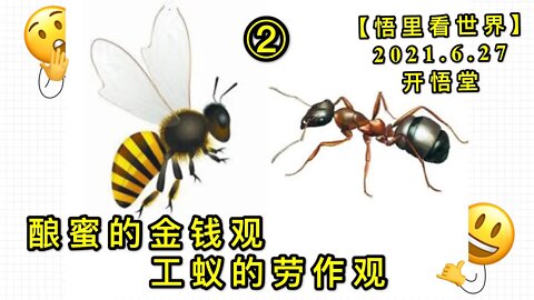 KWT1991(2)酿蜜的金钱观，工蚁的劳作观20210627-2【悟里看世界】