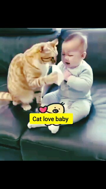 CAT LOVE BABY