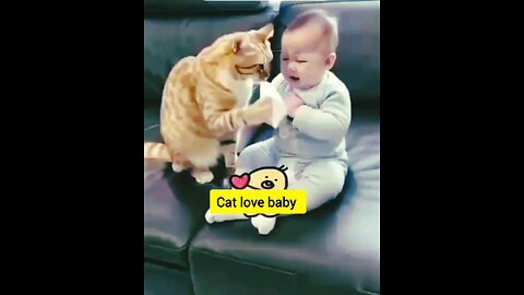 CAT LOVE BABY