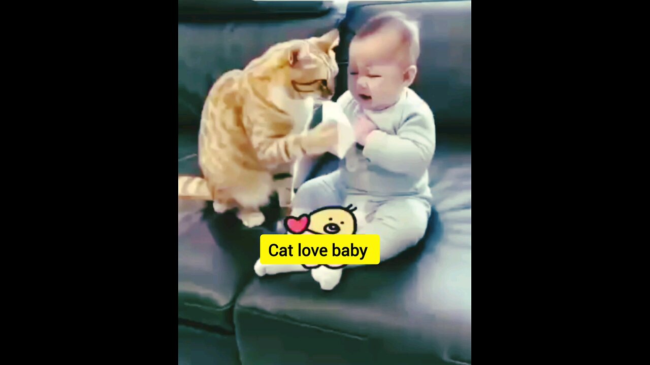 CAT LOVE BABY