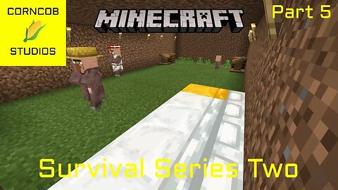 Setting Up The New Village | Minecraft | Survival Series Two | Part 5