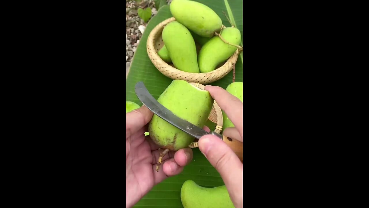 Mango Asmr