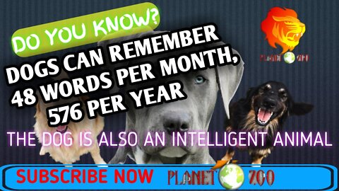 Dogs can remember 12 words per week