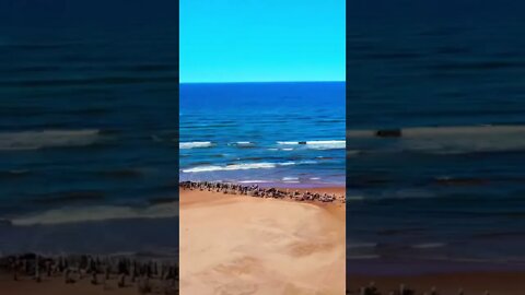 Drone shot at the beach