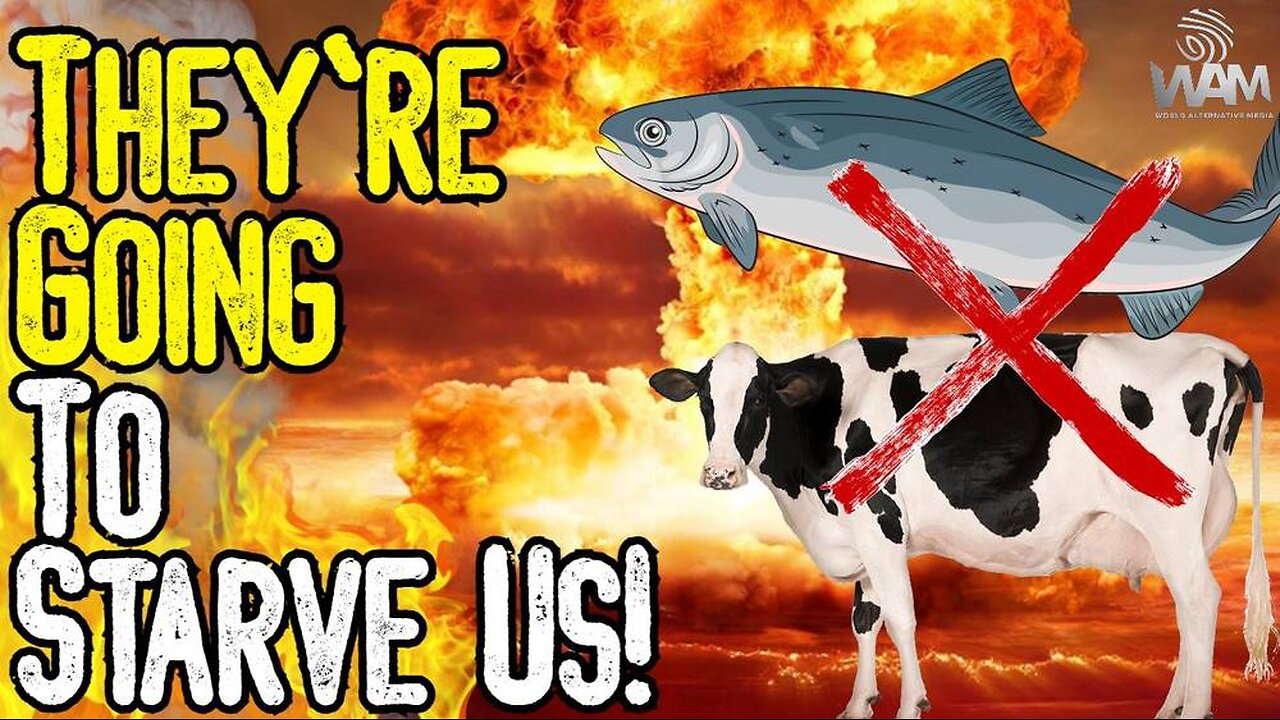 THEY'RE GOING TO STARVE US! - FARMERS CONTINUE TO PROTEST AS MEAT & FISH SUPPLY SET TO COLLAPSE!