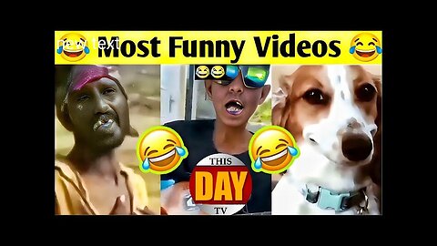 New Funny and Fail Videos 2023|| Cutest People Doings Funny Things part 1