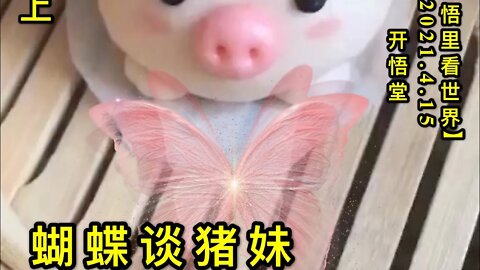 KWT1520(上)蝴蝶谈猪妹20210415-4【悟里看世界】