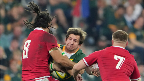Rassie on Bok plan against Ireland
