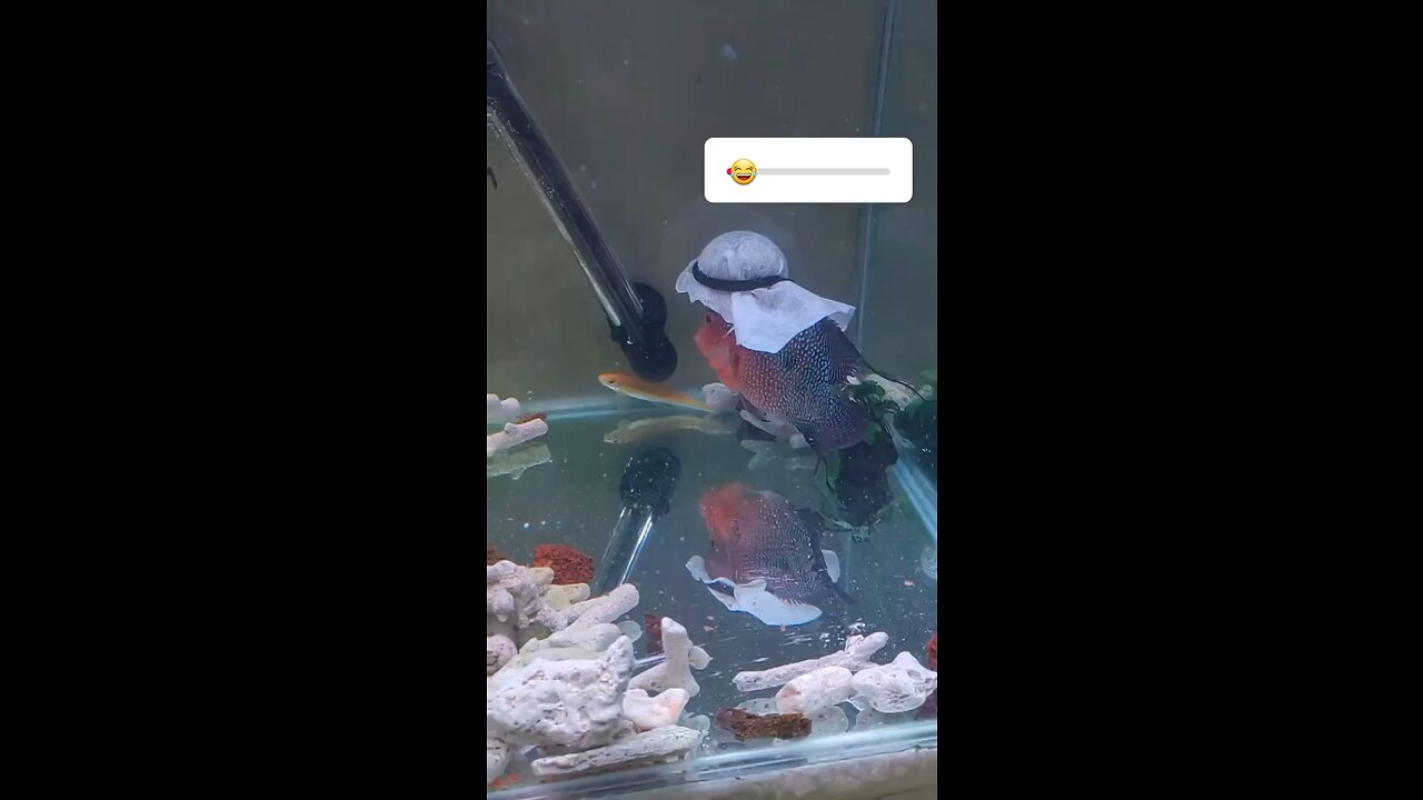 🤣