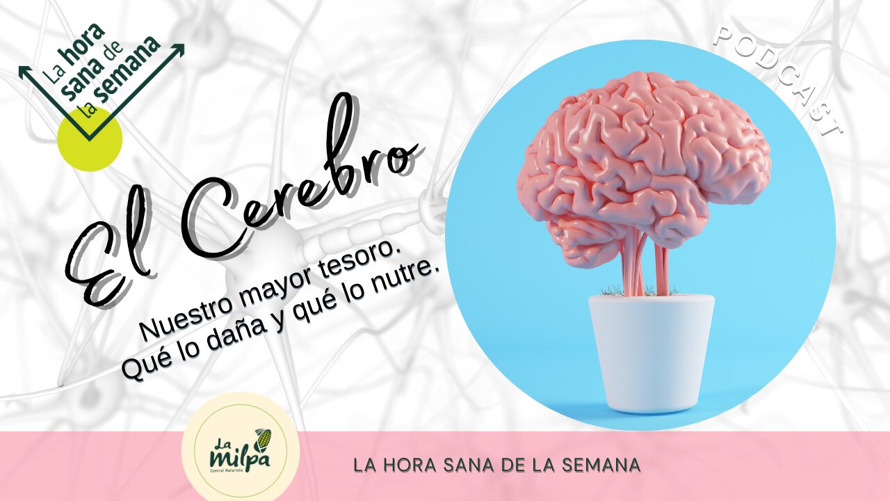 El Cerebro - Nuestro Mayor Tesoro