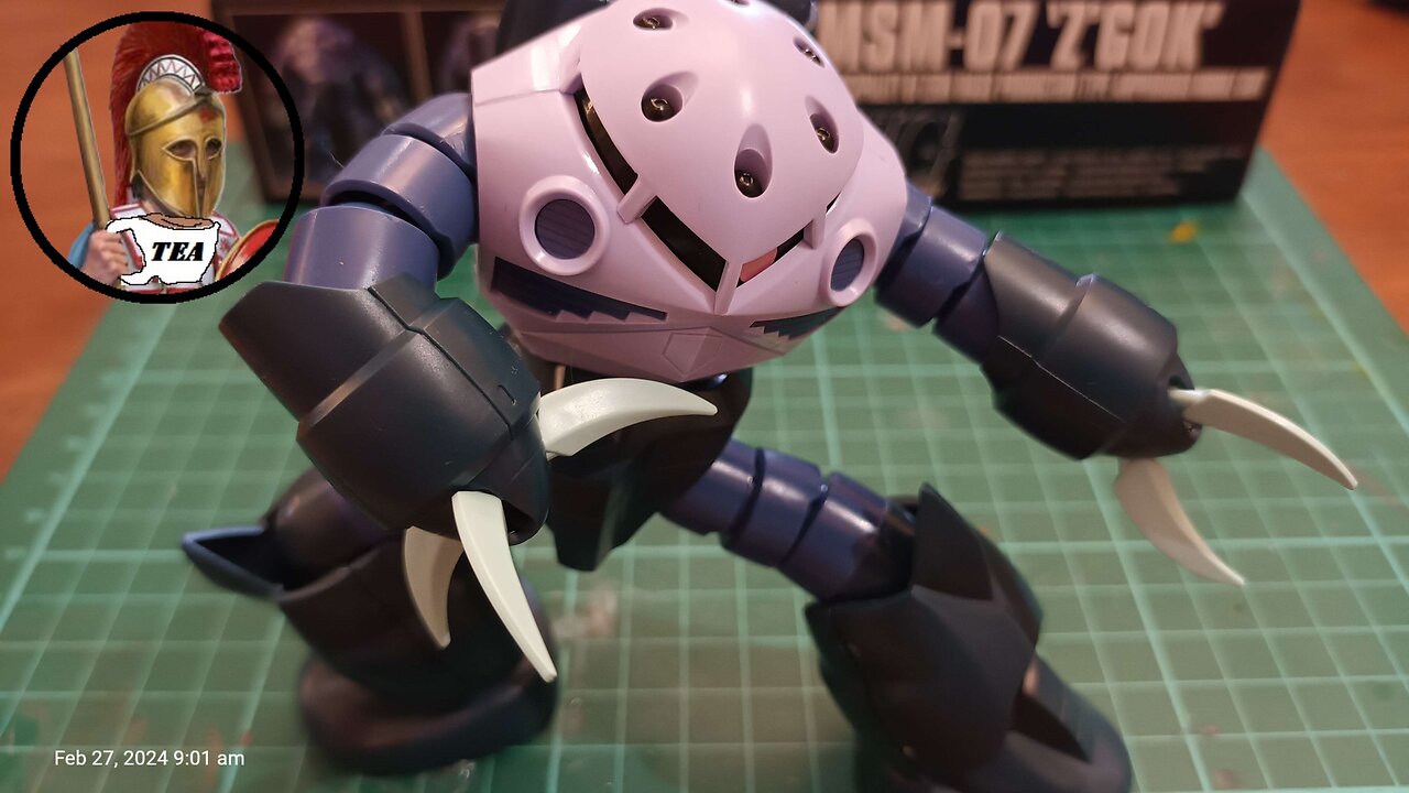 Z'Gok 1/144 HG by Bandai - Review