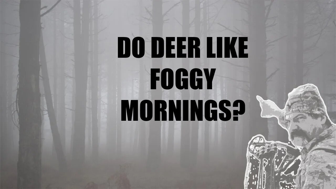 Do deer like foggy mornings? with Dan Infalt