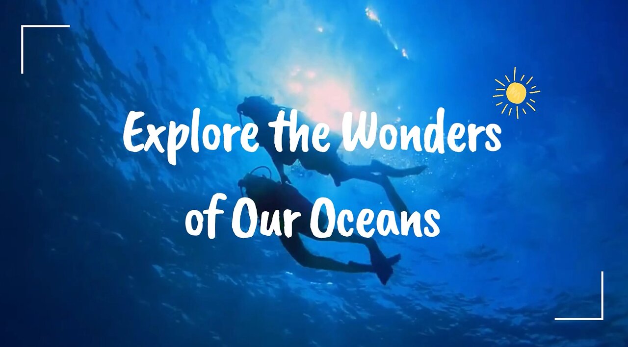 Exploring The Wonders Of The Ocean