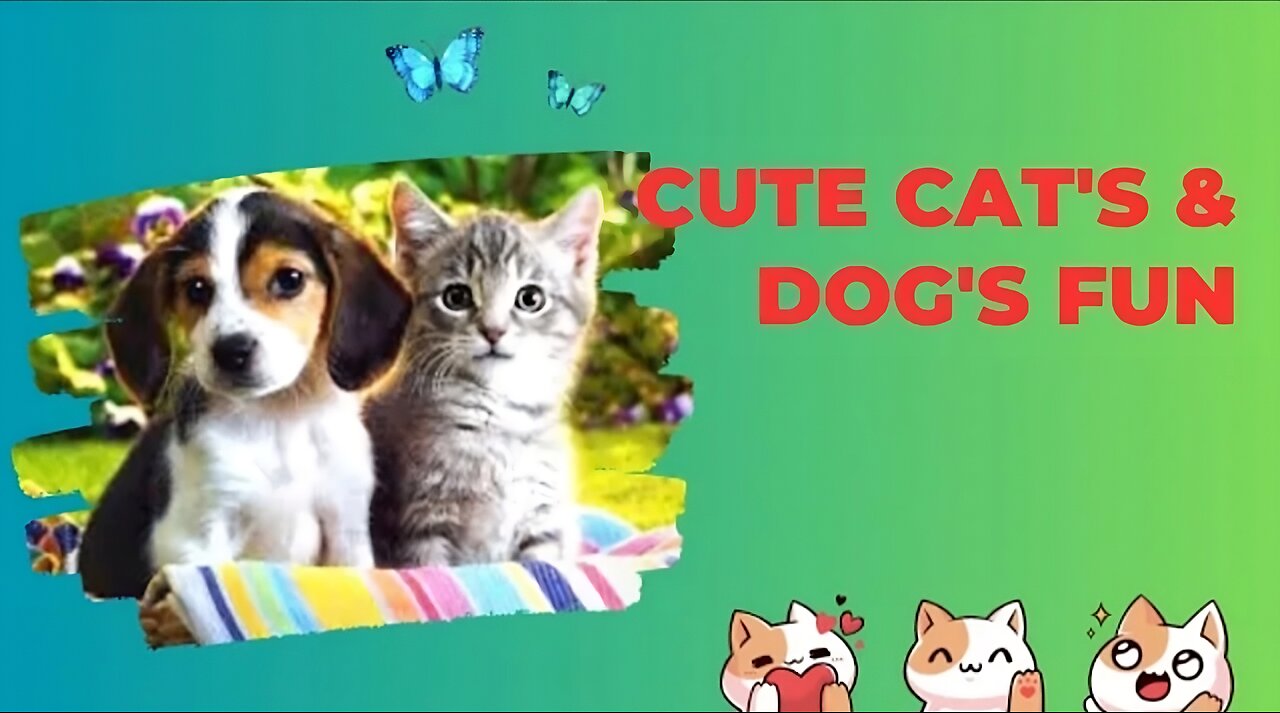 Funny animal videos 2023 Funniest cats 🐈 and dogs 🐕 videos