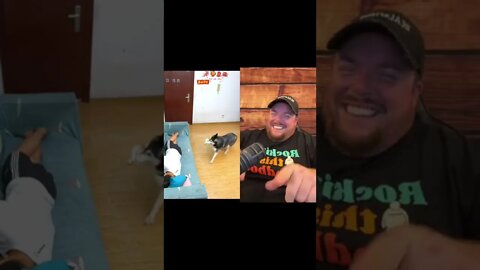 Here’s Your Dose Of REALarious…🤣🤣🤣