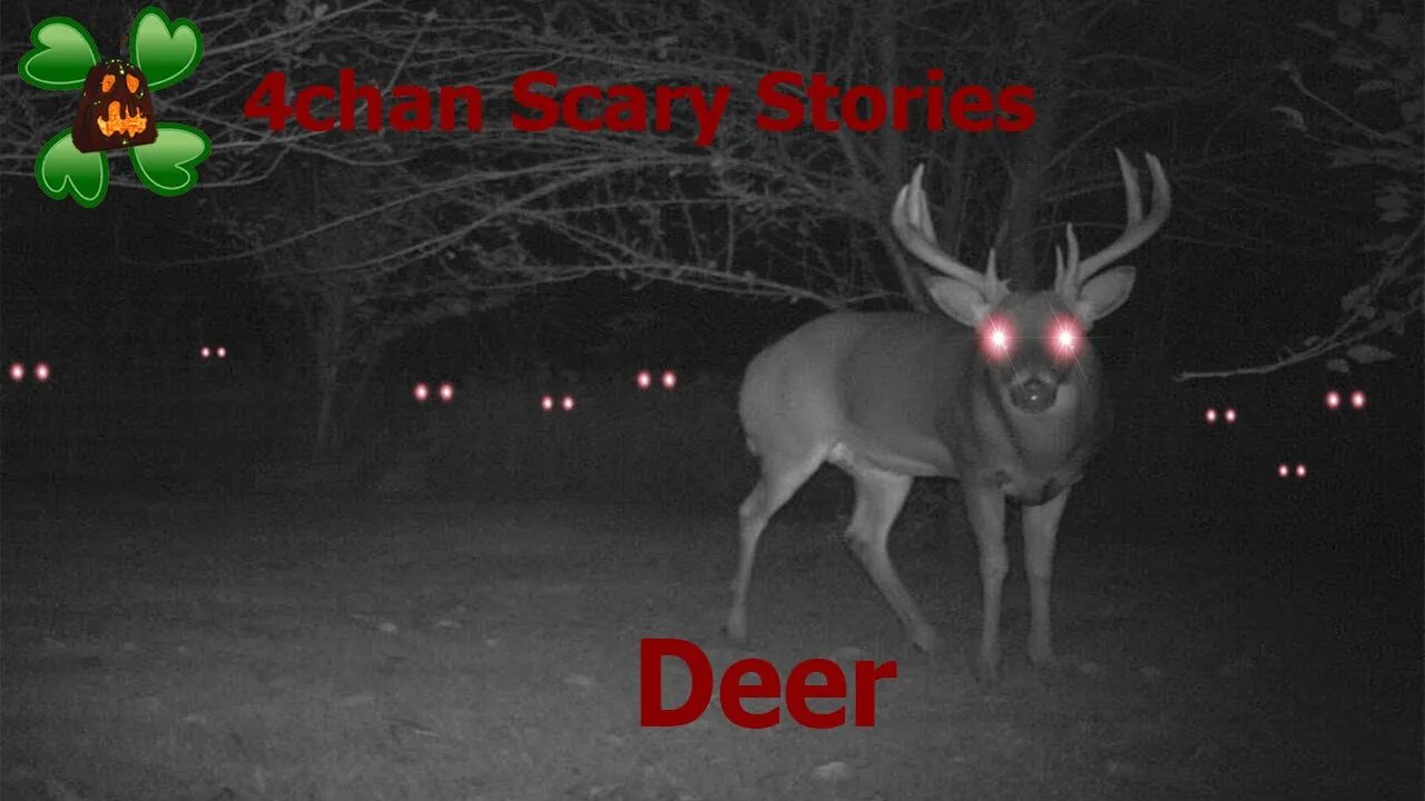 4Chan Scary Stories :: Deer