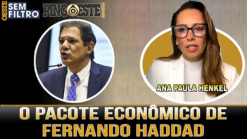 ANA PAULA HENKEL Analisa ao pacote econômico de Fernando Haddad