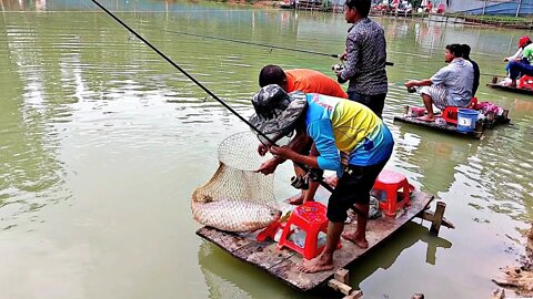 টিকেটকেটে বড় মাছ ধরার প্রতিযোগিতা 🐳Big fish catching in village fishing competition🐋