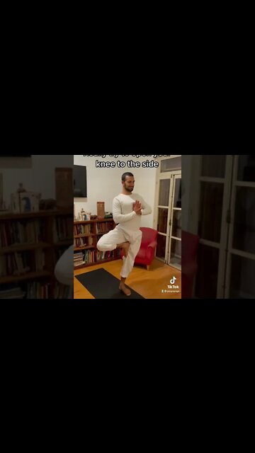 Become A Tree Pose Balance Expert 😁