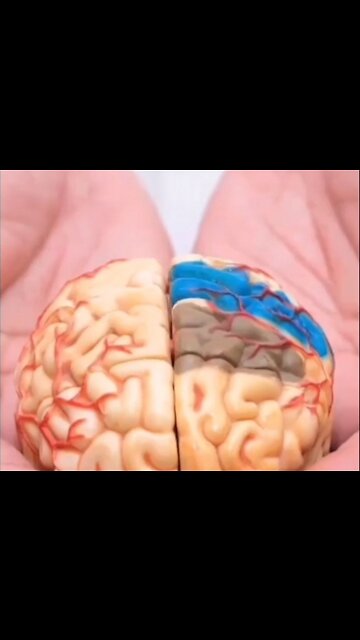 We Can Only Imagine What The Future Holds