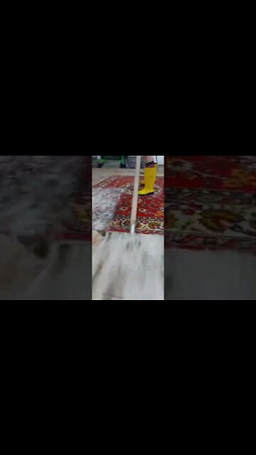 #shorts #2022 funny,prank,funjokes,dad jokes,funny memes,funny video,fun,laughing,funny animal,knock