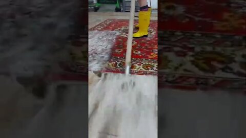 #shorts #2022 funny,prank,funjokes,dad jokes,funny memes,funny video,fun,laughing,funny animal,knock