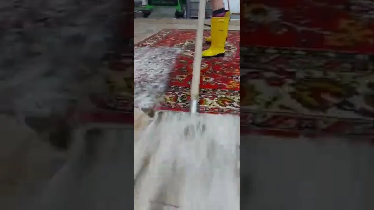 #shorts #2022 funny,prank,funjokes,dad jokes,funny memes,funny video,fun,laughing,funny animal,knock