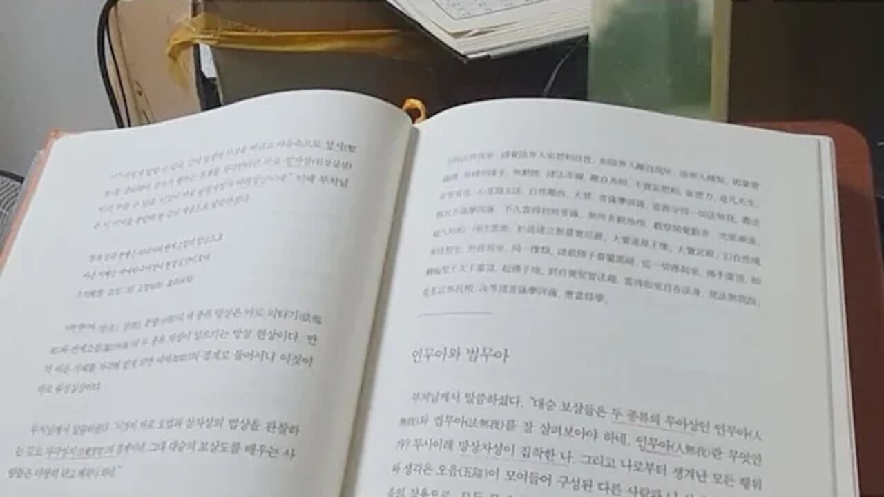 능가경강의, 남회근, 인무아, 법무아, 아뢰야식, 색진, 오음, 애욕, 어리석음, 대승보살, 부처님,등불