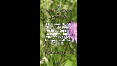 Proverbs 10:31 | Wise Sayings of Solomon