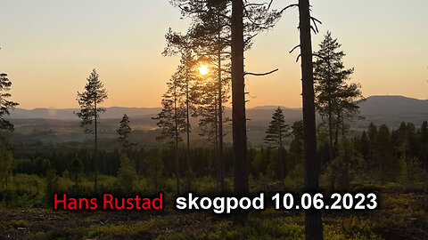 Skogpod 10. juni 2023