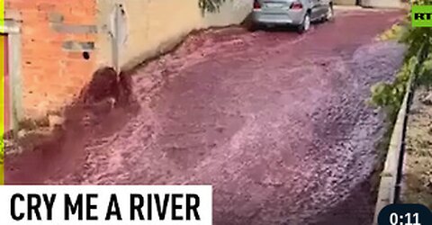 River of wine flows through Portuguese town after accident