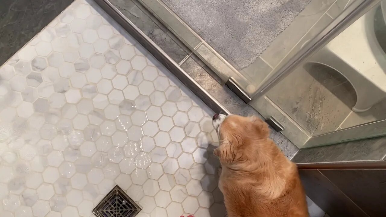 Bath time (13) | 69 seconds of Ern