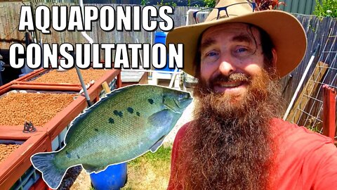 Aquaponics System Consultation at Barney's