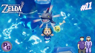 Pet Sharks Galore | Legend of Zelda: Echoes of Wisdom